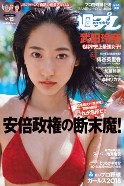 OLED屏幕与LCD屏幕有何区别